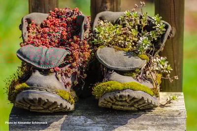 boots-with-new-life@2x-1